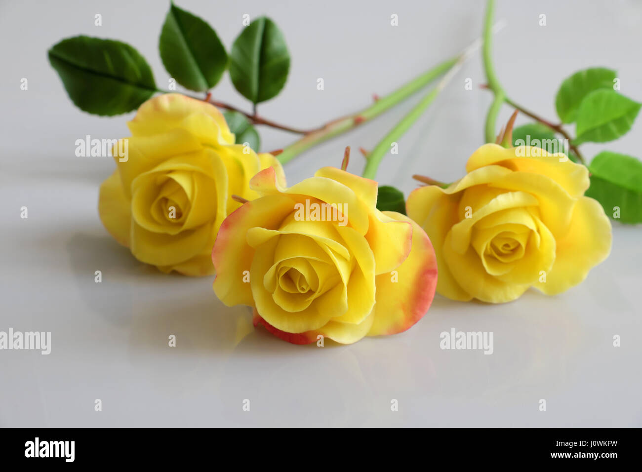 L'argile jaune avec de l'art merveilleux de fleurs roses réfléchir sur fond blanc, belles fleurs artificielles de l'artisanat habile avec Banque D'Images