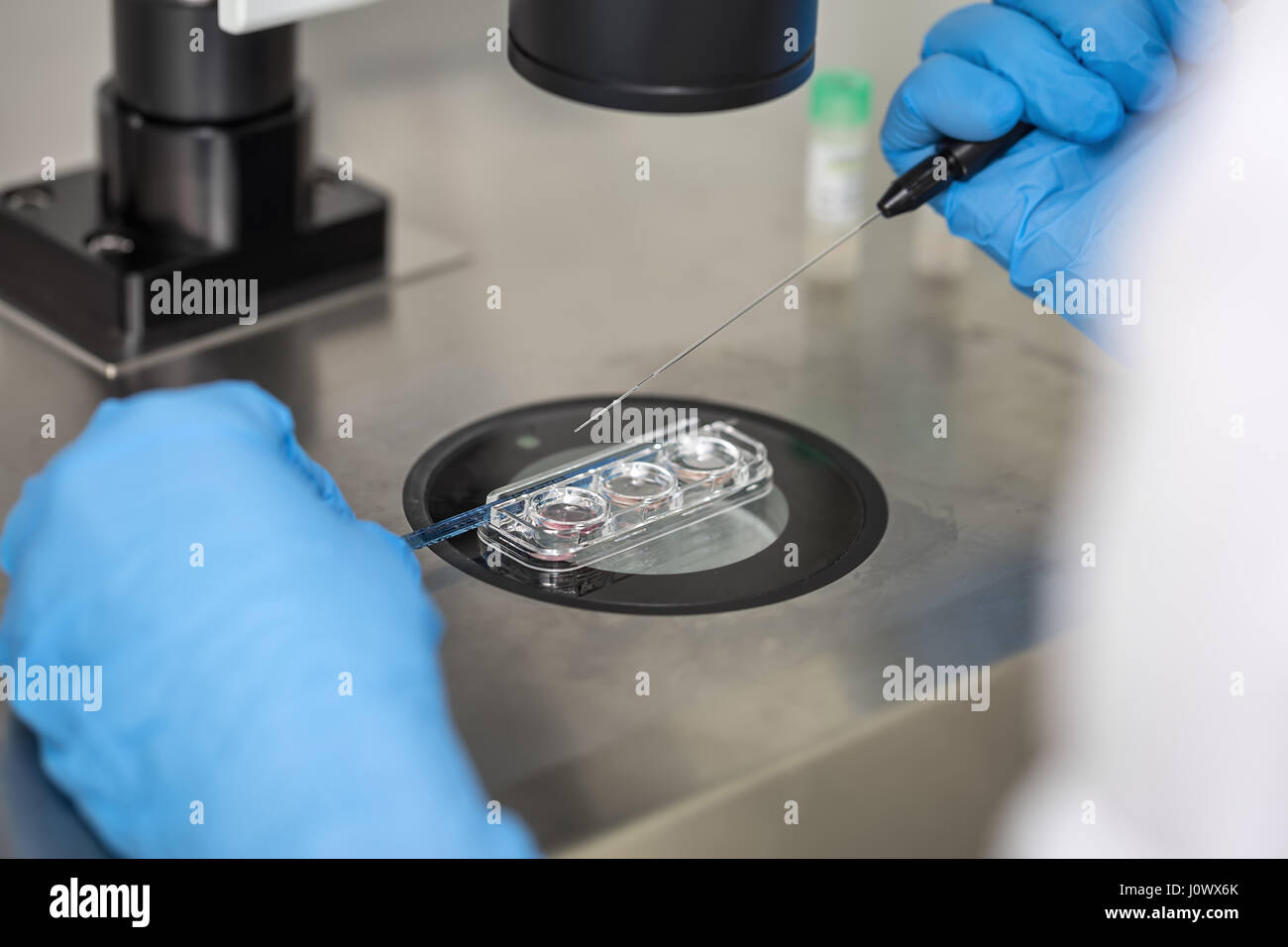 Contrôle de résultat de la fécondation in vitro Banque D'Images