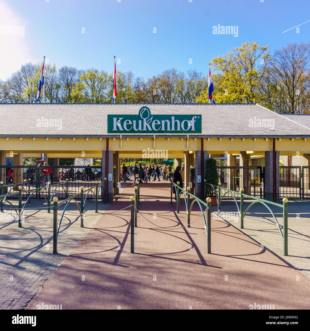 LISSE, Pays-Bas - 16 avril 2016 : Parc floral de Keukenhof, lisse, aux Pays-Bas. Keukenhof est le plus grand jardin fleuri avec 7 millions de flow Banque D'Images