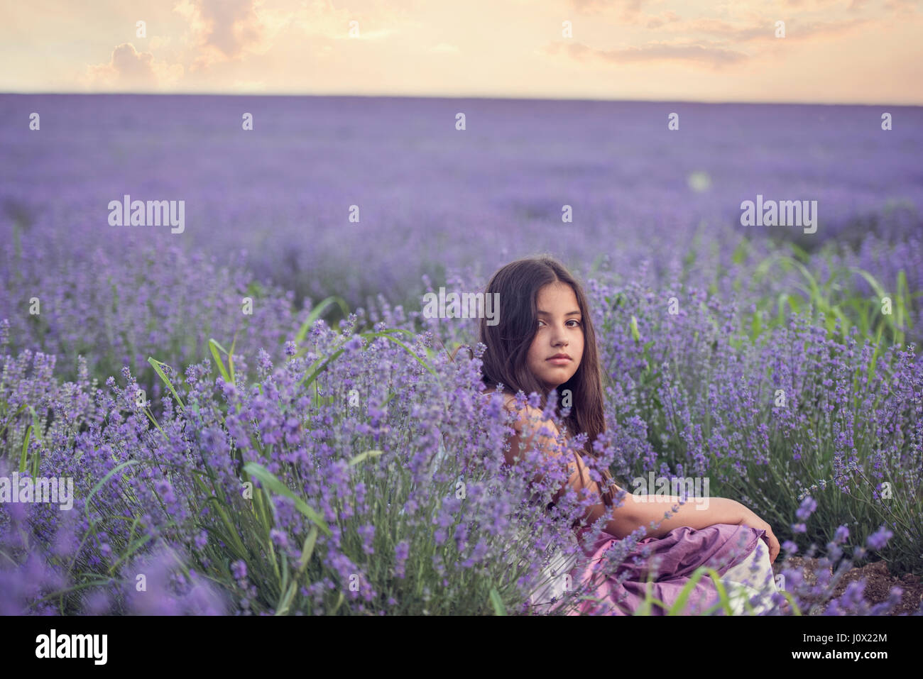 Fille assise dans un champ de lavande, Stara Zagora, Bulgarie Banque D'Images