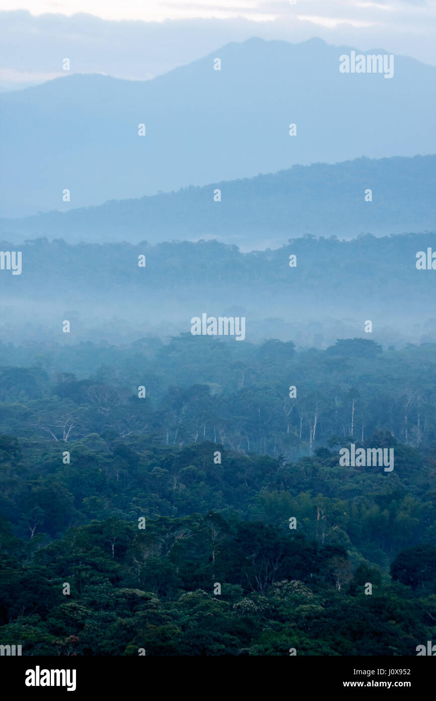 Crépuscule sur forêt amazonienne près de la rivière Anzu, Equateur Banque D'Images