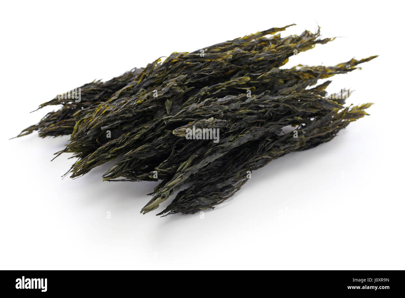 Les algues brunes séchées, sargassum horneri, akamoku, nourriture japonaise Banque D'Images