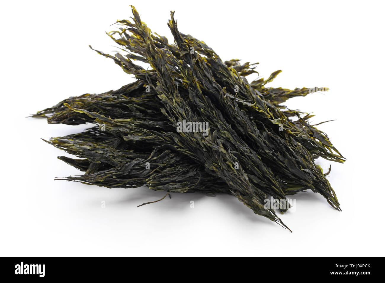 Les algues brunes séchées, sargassum horneri, akamoku, nourriture japonaise Banque D'Images