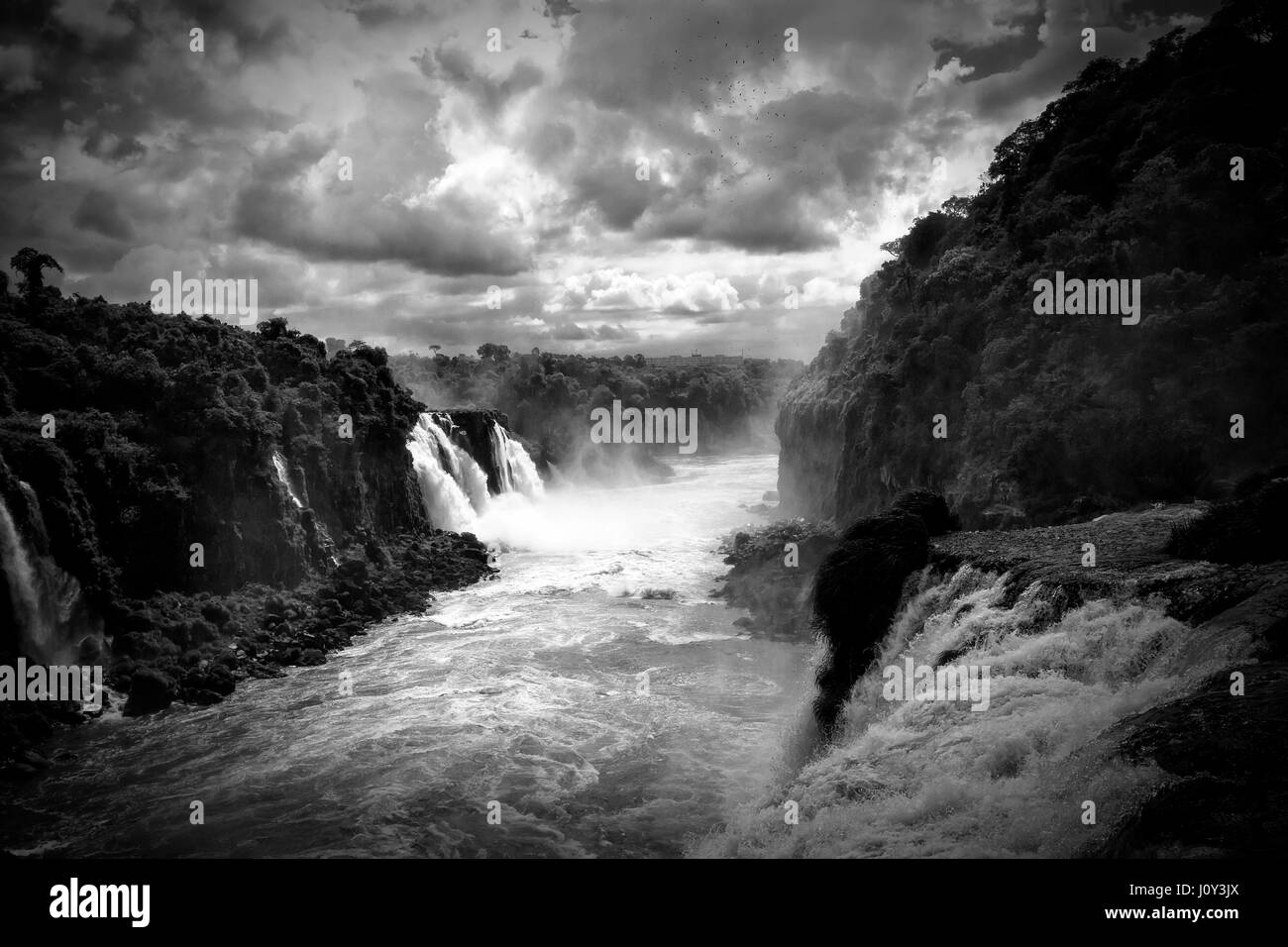 Chutes d'Iguaçu, Brésil, Argentine, Retour et blanc Banque D'Images