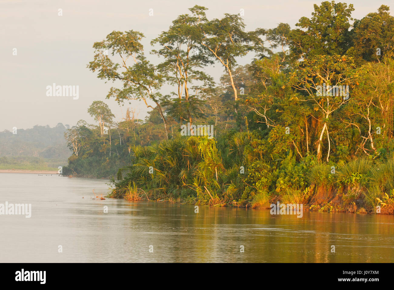 Rio Napo de Yasuni, parc national, Banque D'Images