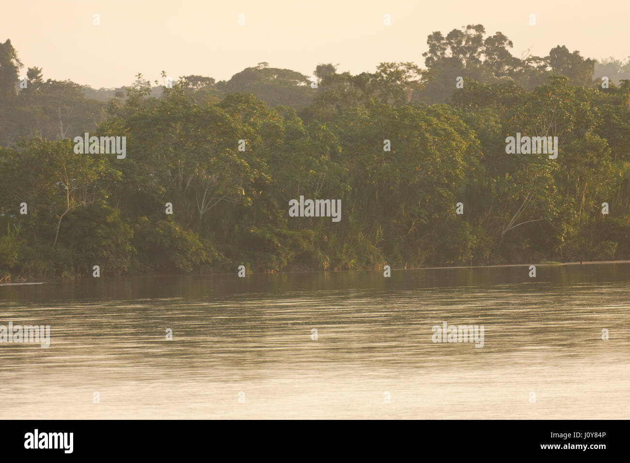 Rio Napo de Yasuni, parc national, Banque D'Images