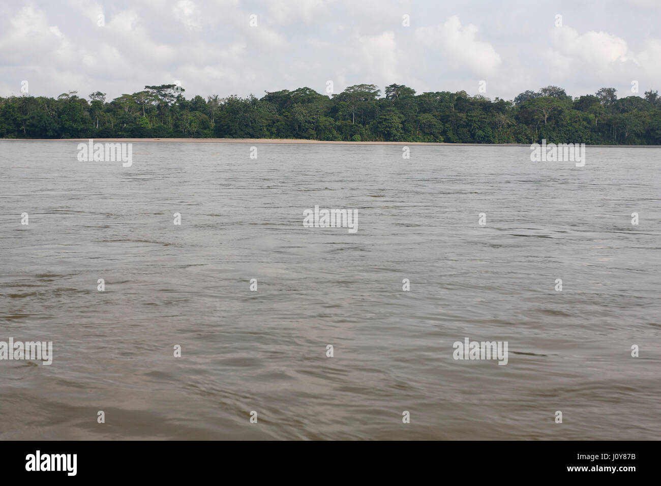 Napo River, l'Équateur Banque D'Images