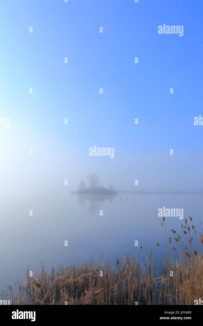 Île dans le brouillard, brouillard sur le lac au lever du soleil en Pologne Banque D'Images