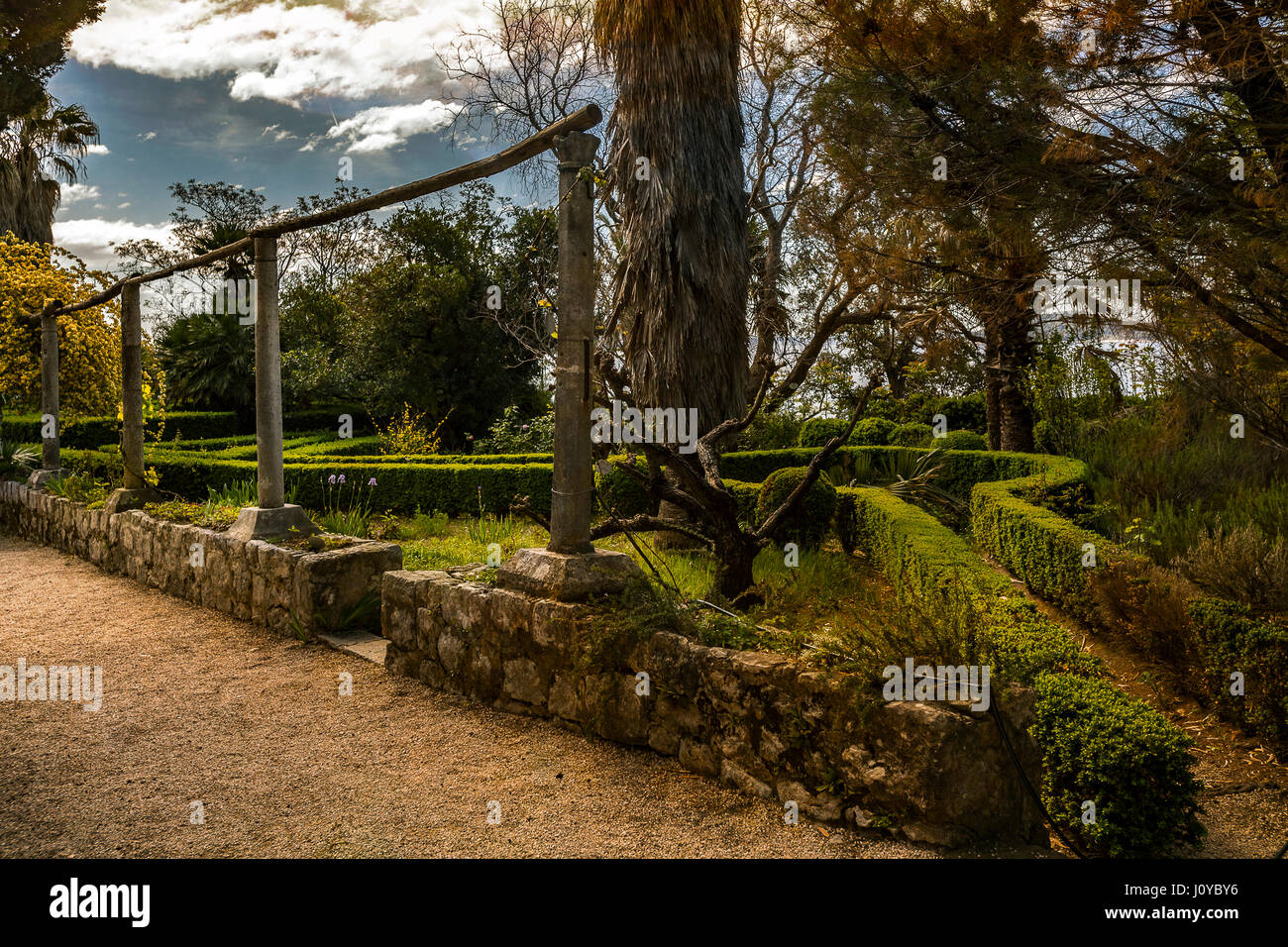 Arboretum de Trsteno Croatie Dalmatie Banque D'Images