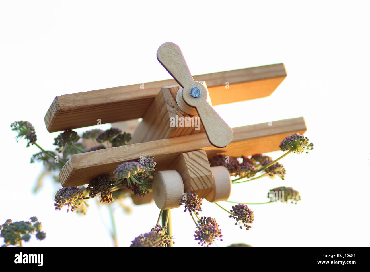 Avion jouet en bois Banque D'Images