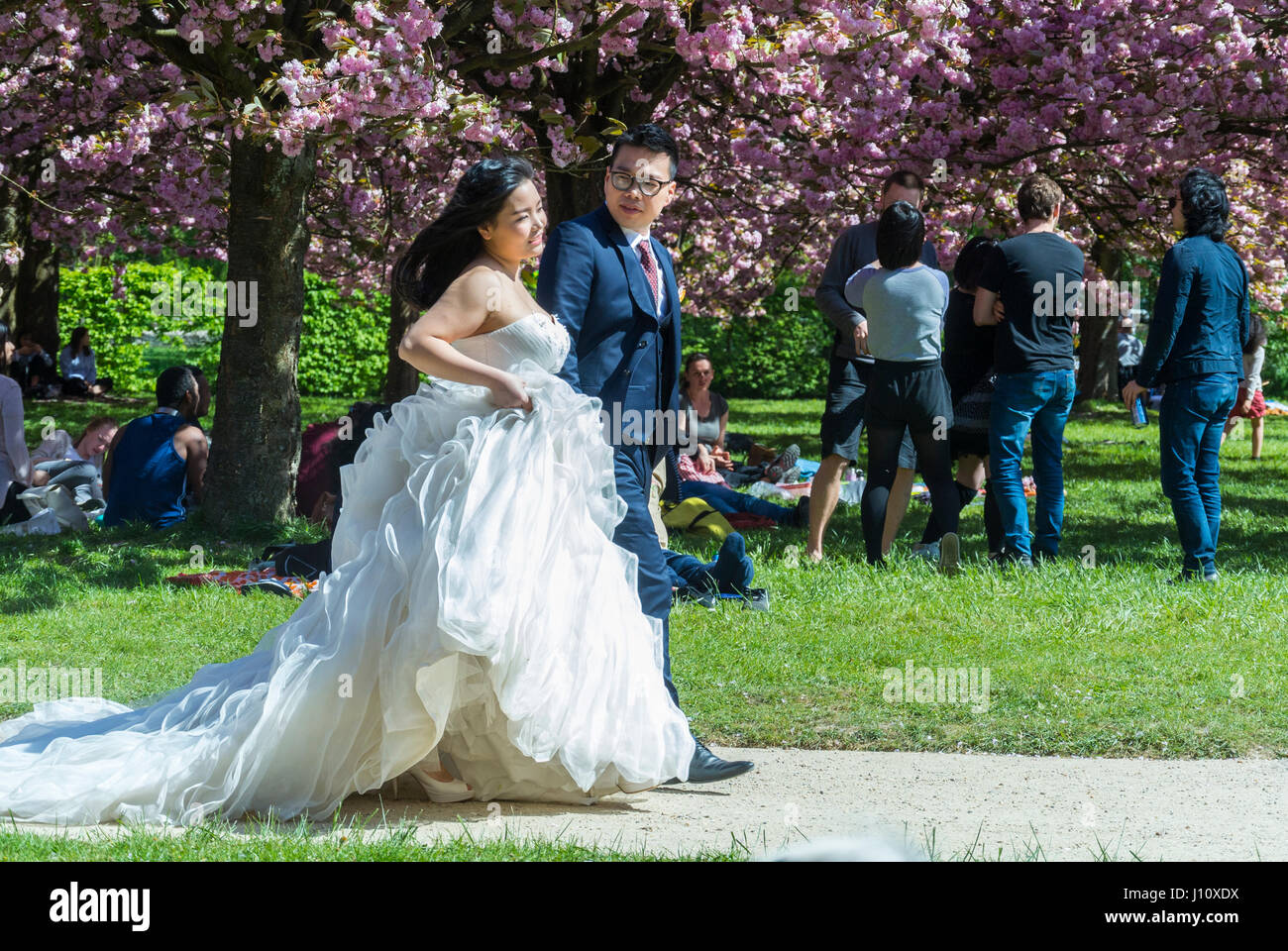 Antony, France, Parc de Sceaux, gens appréciant les cerisiers en fleurs,  fleurs printanières, femme chinoise en robe de mariage, communauté chinoise  de paris, jour ensoleillé Photo Stock - Alamy