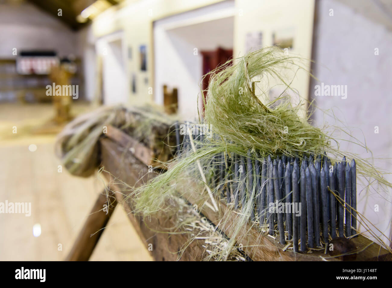 Séran comb faites de clous, utilisé durant la production de linge pour retirer les fibres courtes (TOW), de l'allongement des fibres de lin plus luxueux. Wellbrook Banque D'Images