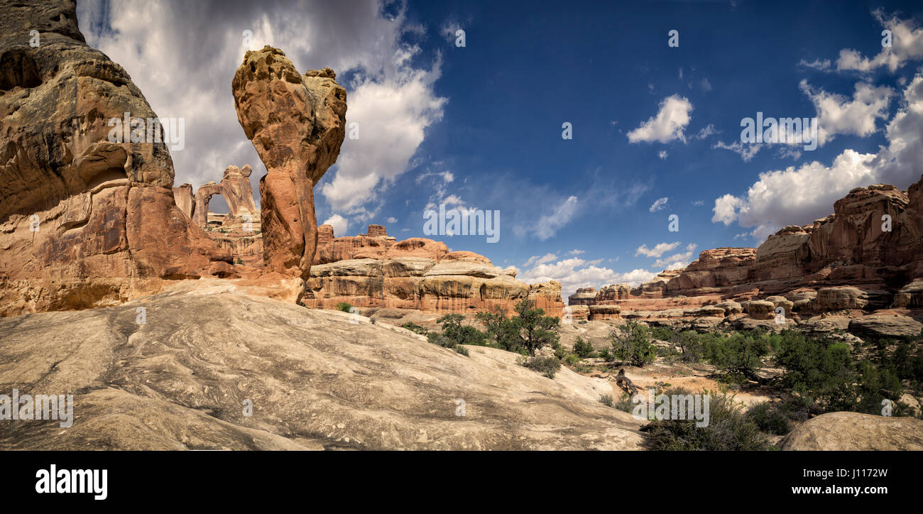 Rock molaire et Angel arch, aiguilles, District Canyonlands National Park, Utah, USA. Banque D'Images