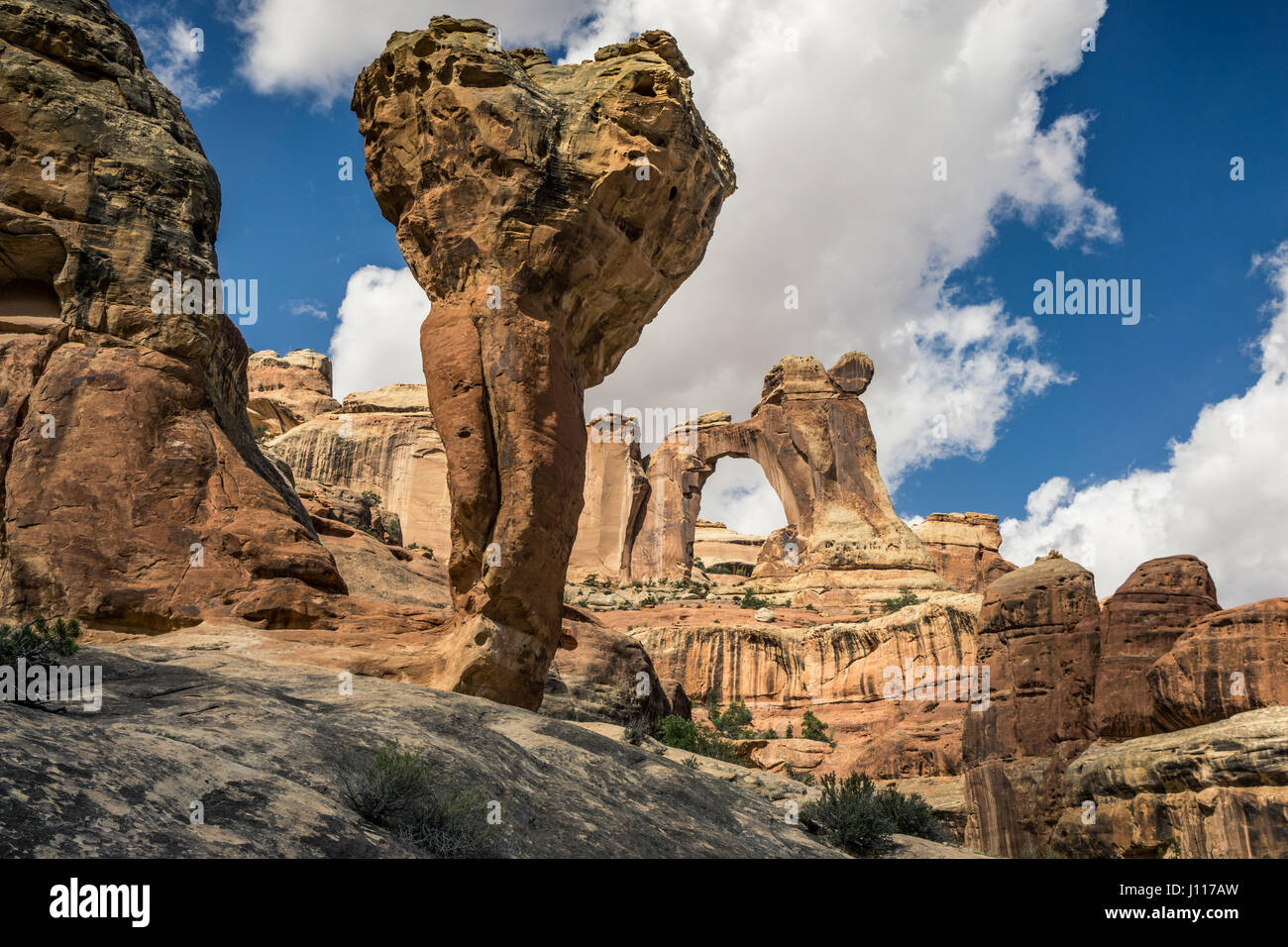 Rock molaire et Angel arch, aiguilles, District Canyonlands National Park, Utah, USA. Banque D'Images