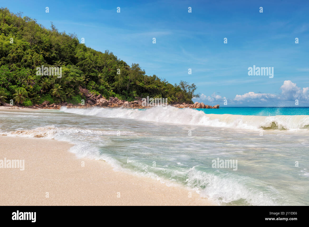 Exotiques tropicales plage de sable avec des palmiers et la mer turquoise. Banque D'Images