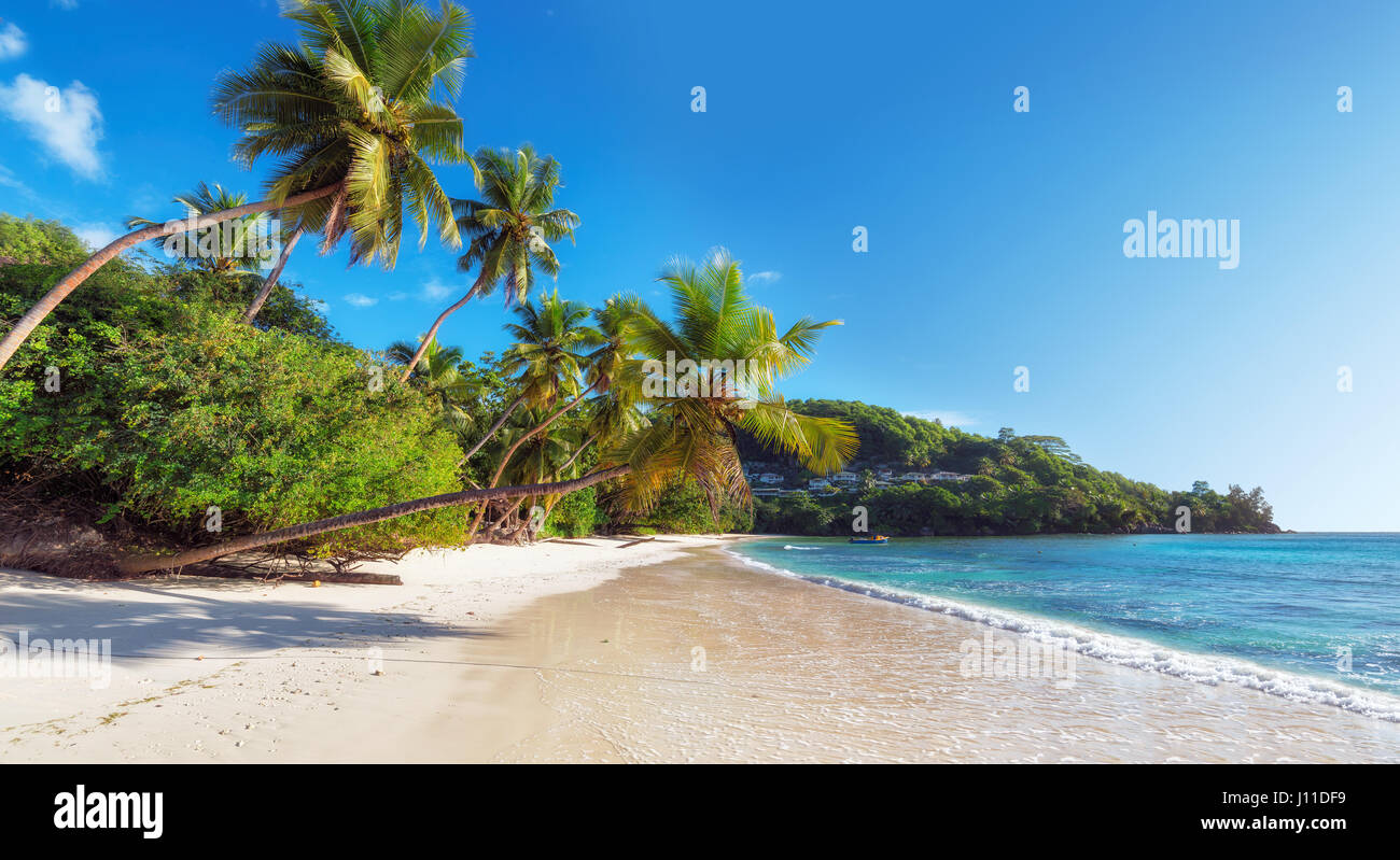 Paradise beach sur les Seychelles, Anse Takamaka, l'île de Mahé. Banque D'Images
