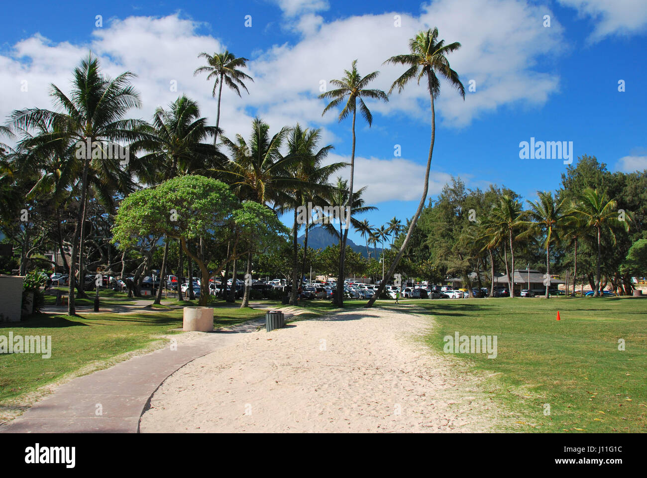 Haleiwa Town & Beach Park, Oahu, Hawaii Banque D'Images