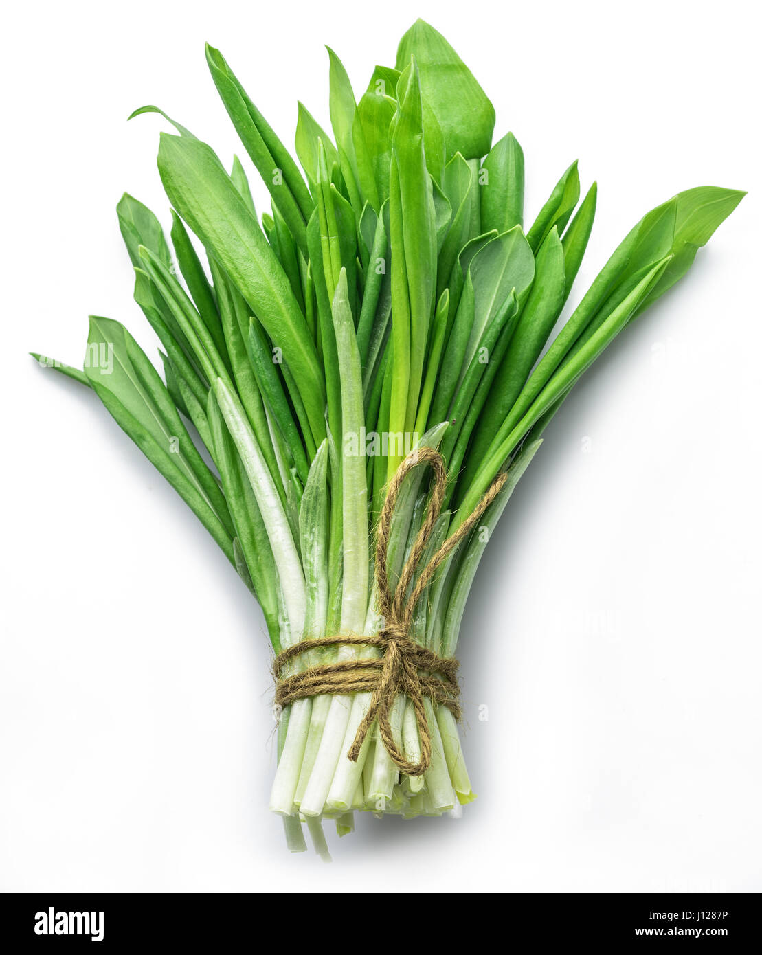 Groupe de jeunes de l'ail sauvage. Banque D'Images