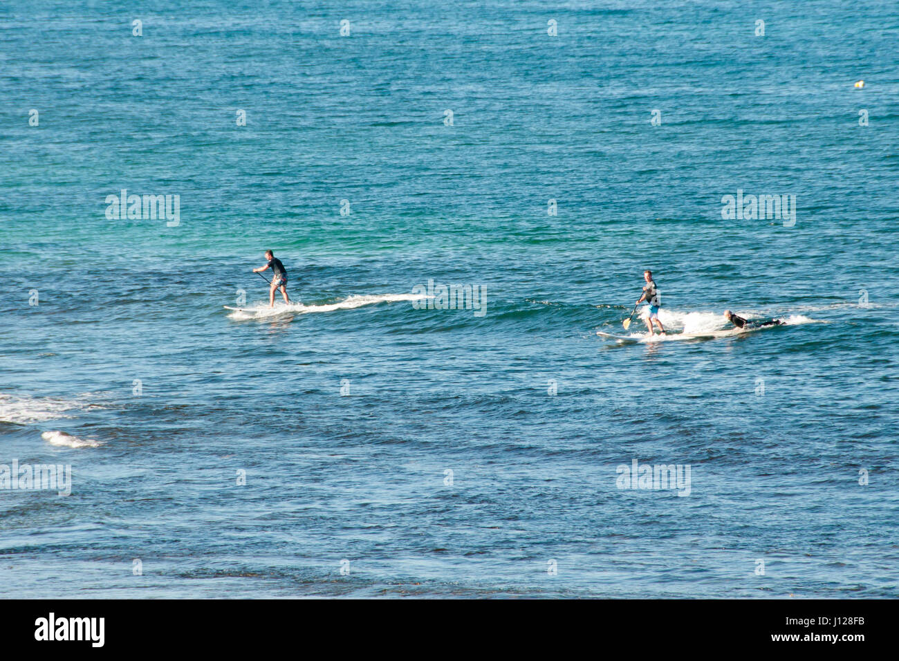 Le Stand Up Paddle Surf Banque D'Images