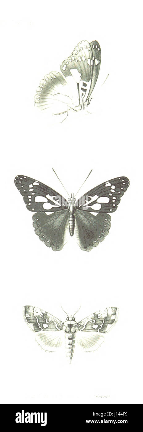 Ce récit de voyage raconte un voyage à Madagascar lors du couronnement de Radama II, en se concentrant sur le climat culturel et politique de l’époque. Banque D'Images