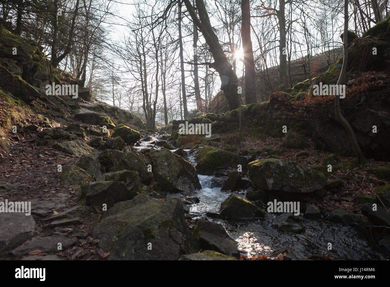 Tarn Hows, partie du parc national de Lake District en Angleterre, Royaume-Uni Banque D'Images