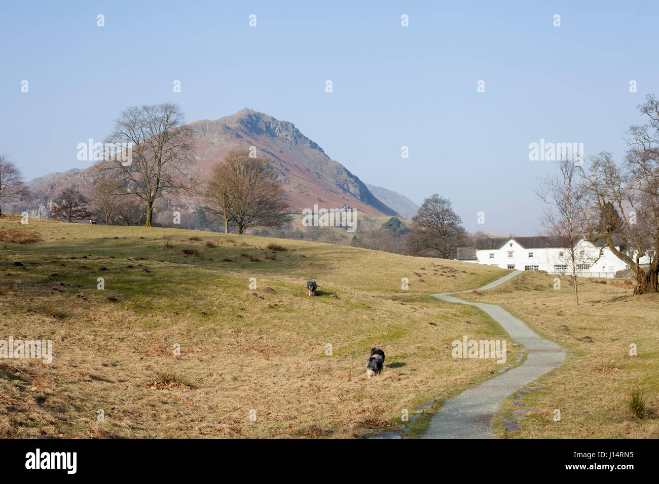 Village Grassmere, partie du parc national de Lake District en Angleterre, Royaume-Uni Banque D'Images