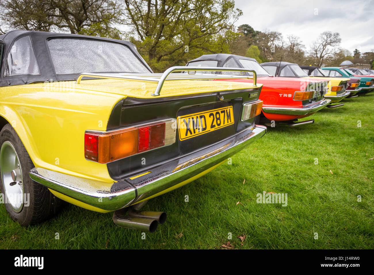 Vue arrière de plusieurs vieilles voitures Triumph vintage classique Banque D'Images