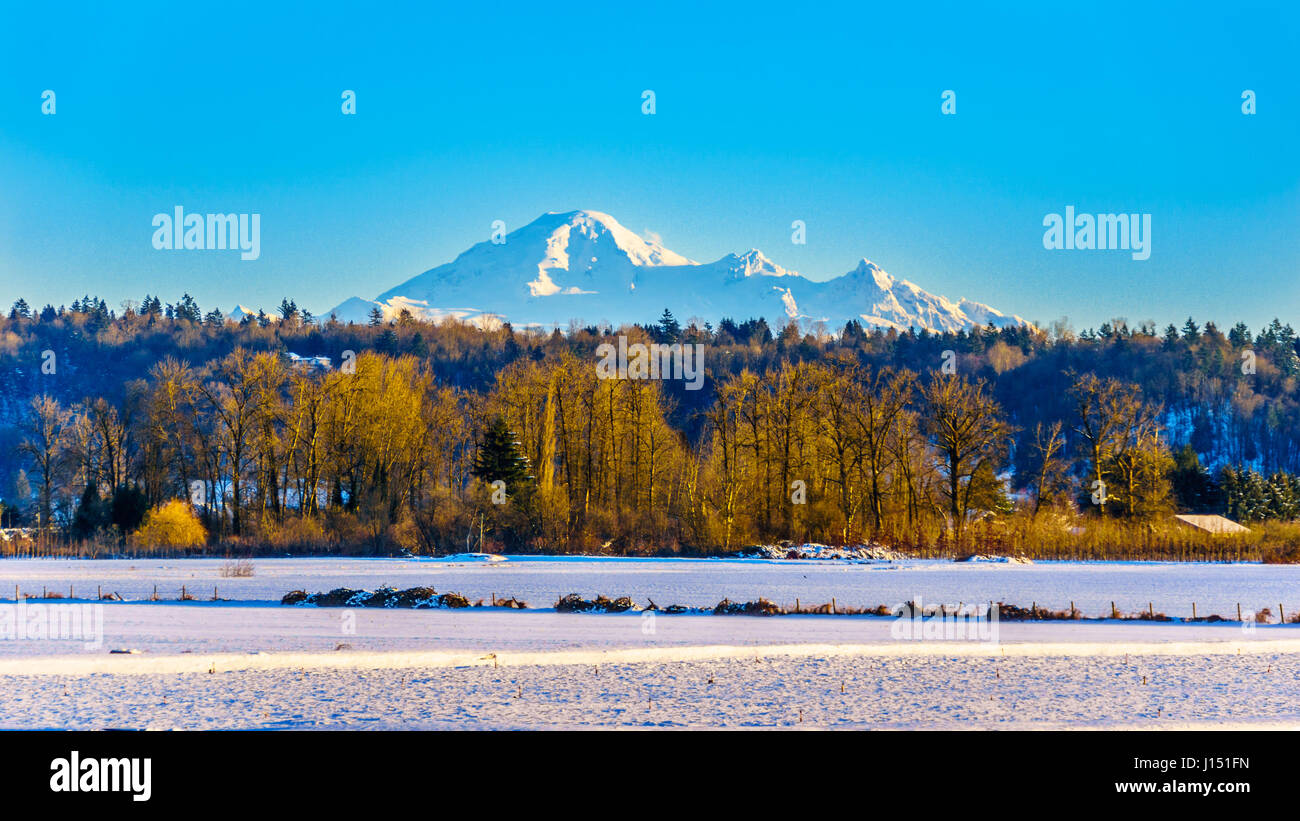 Paysage d'hiver du Mont Baker sur une journée ensoleillée comme l'un des pics de montagne dans la chaîne des Cascades dans l'État de Washington. Banque D'Images
