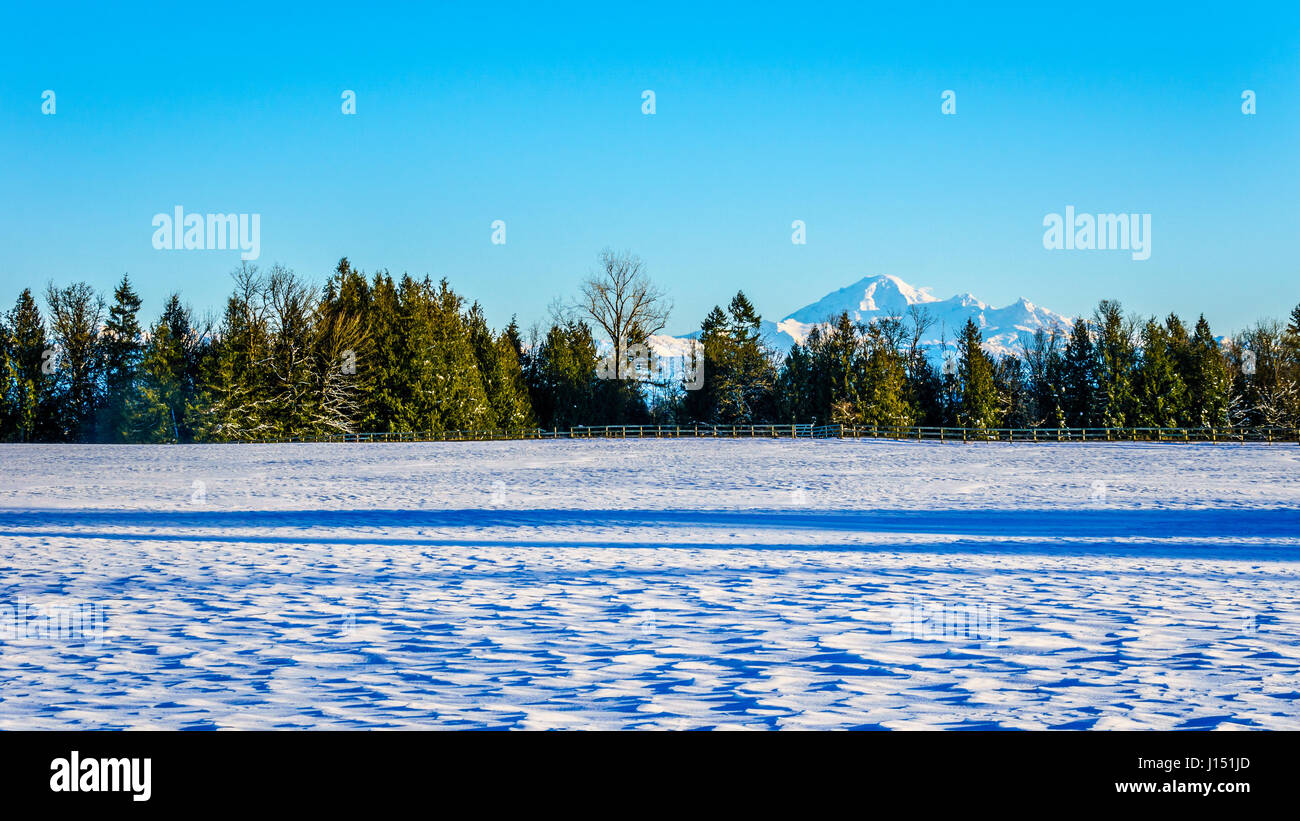 Paysage d'hiver du Mont Baker sur une journée ensoleillée comme l'un des pics de montagne dans la chaîne des Cascades dans l'État de Washington. Banque D'Images