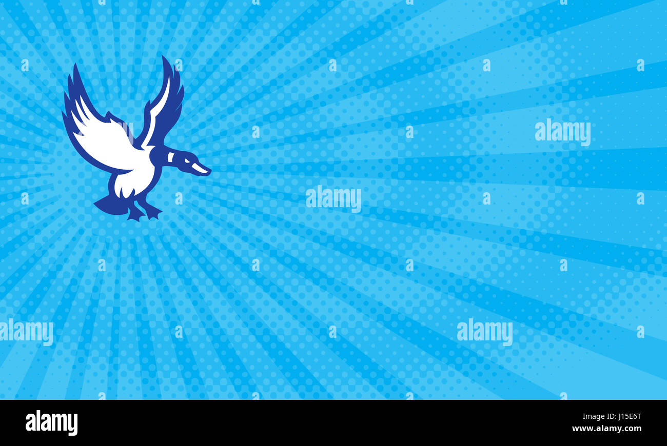 Carte de visite de colvert Banque de photographies et d’images à haute