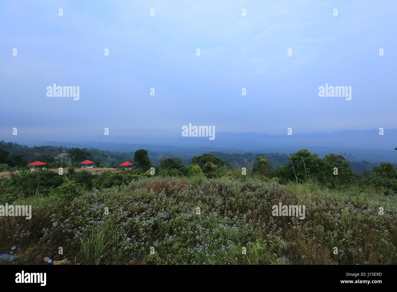 Sajek Valley dans le district de Rangamati Hill, au Bangladesh. Banque D'Images