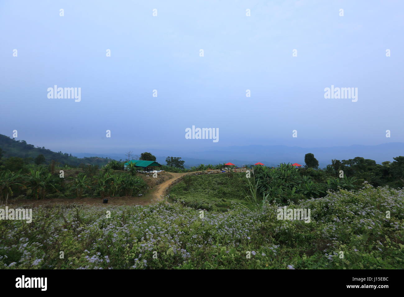 Sajek Valley dans le district de Rangamati Hill, au Bangladesh. Banque D'Images