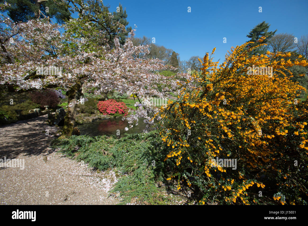 Cholmondeley Castle Gardens. Vue pittoresque de printemps du Jardin de Temple Cholmondeley Castle. Banque D'Images