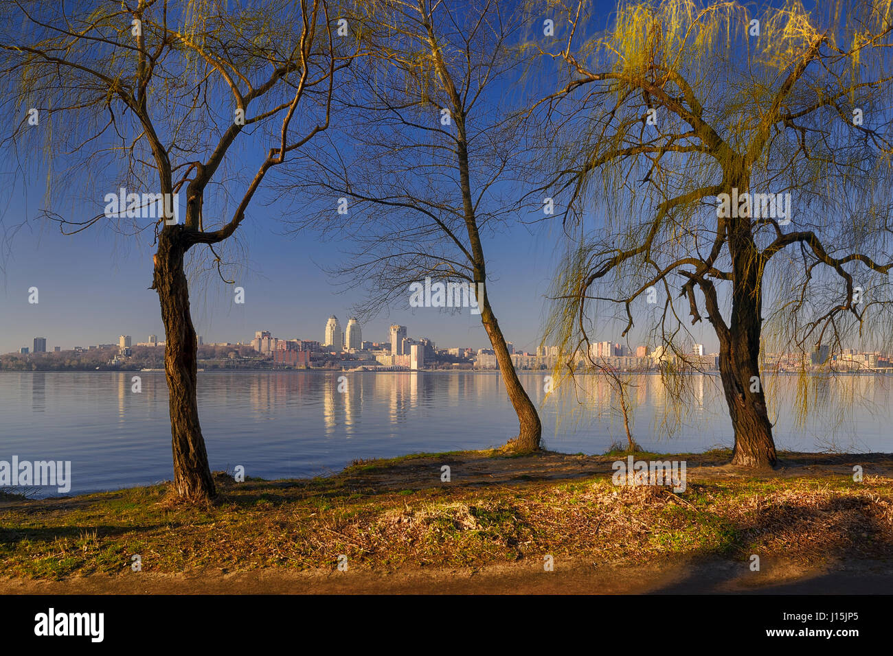 Des arbres sur la rive du fleuve dans le soleil du matin. De Dnepropetrovsk, Ukraine Banque D'Images