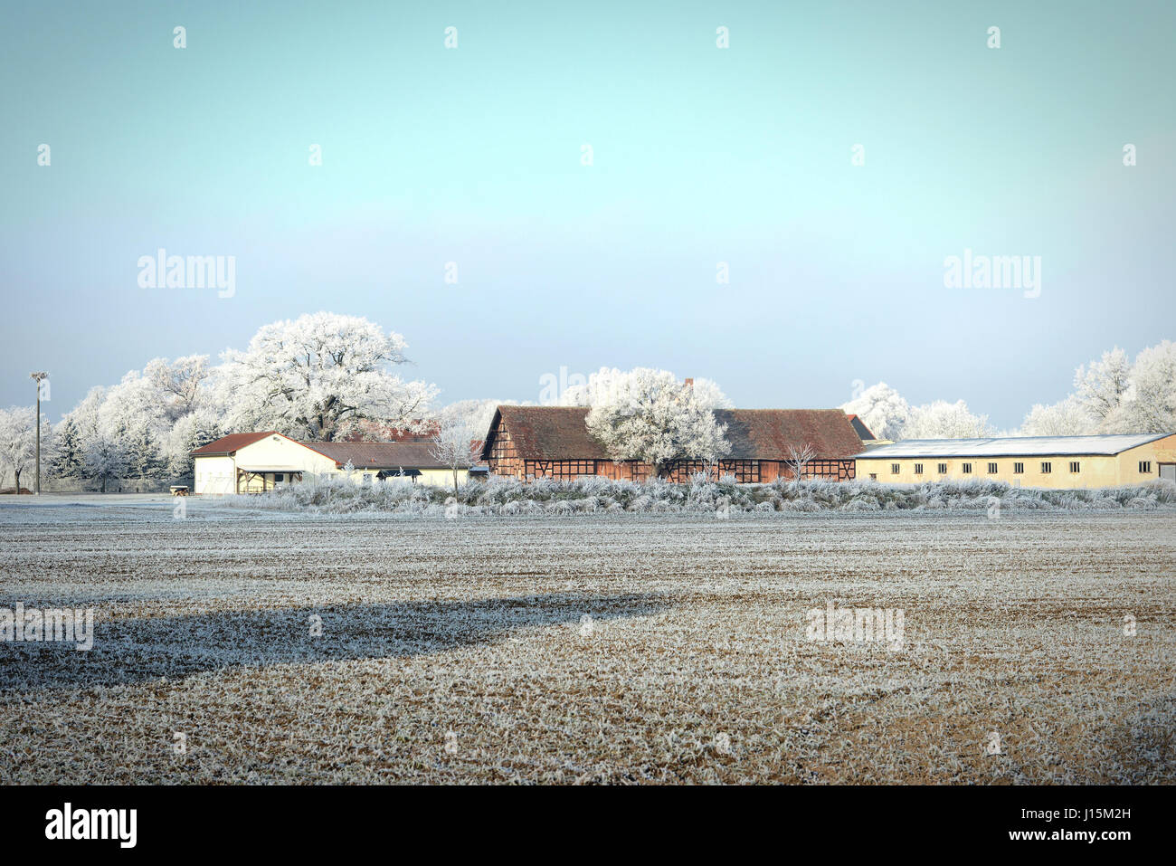 Le givre Le givre blanc paysage à champ agricole dans la matinée. Havelland (Brandebourg, Allemagne). Banque D'Images