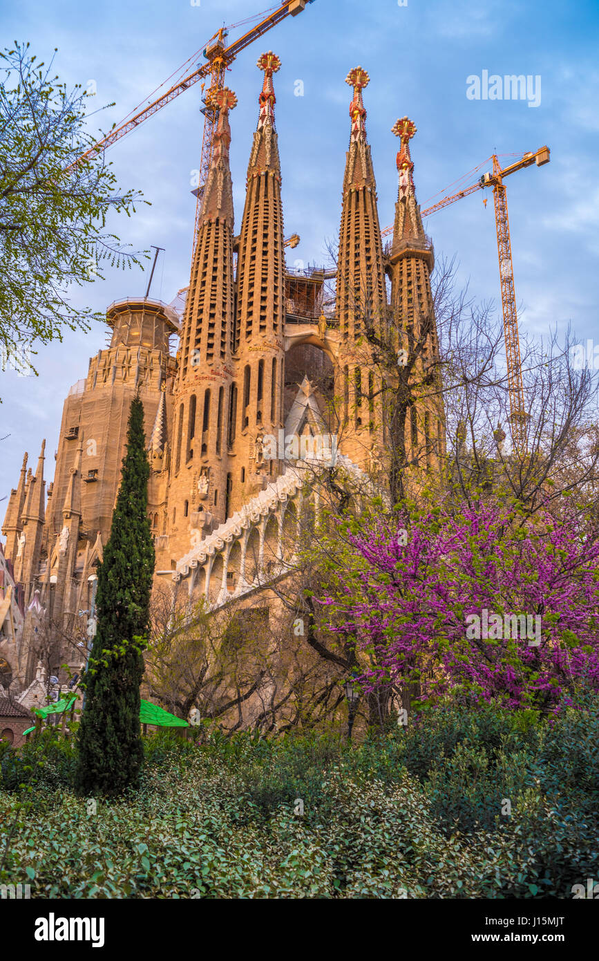 Barcelone, Catalogne, Espagne : Basicila et Église expiatoire de la Sainte Famille, connu sous le nom de Sagrada Familia Banque D'Images