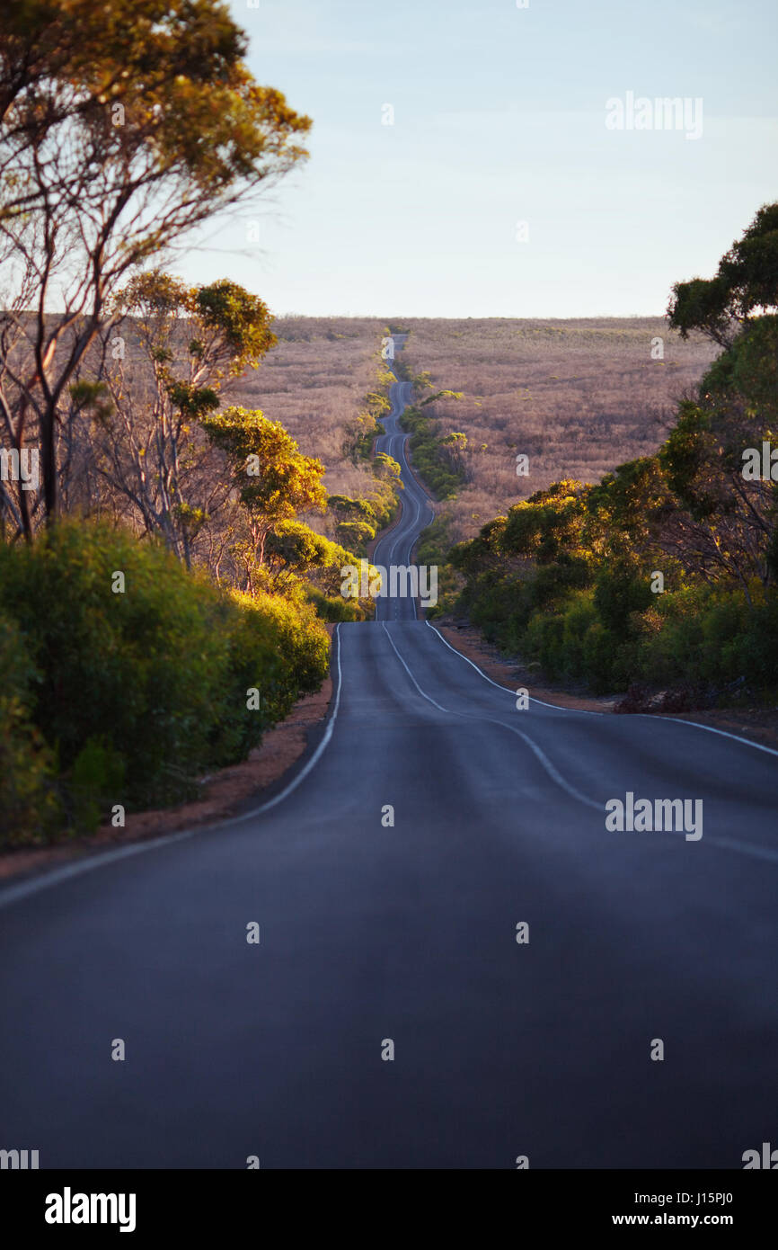 Route ondulées dans la forêt. L'heure du coucher du soleil. Parc national de Flinders Chase, Kangaroo Island, Australie du Sud. Banque D'Images