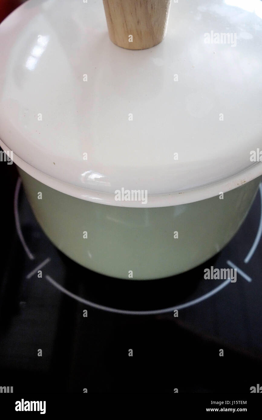 Petit Pot de cuisson sur une plaque de cuisson électrique à induction numérique Banque D'Images
