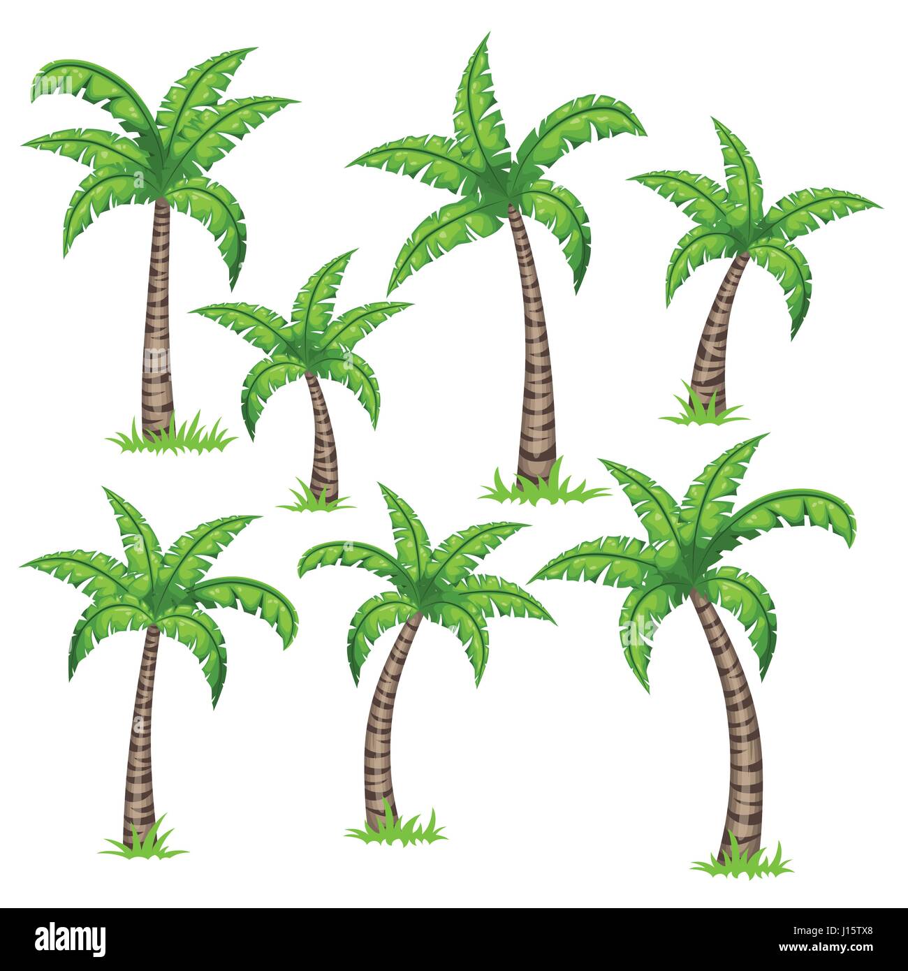 Ensemble de palmiers tropicaux Illustration de Vecteur