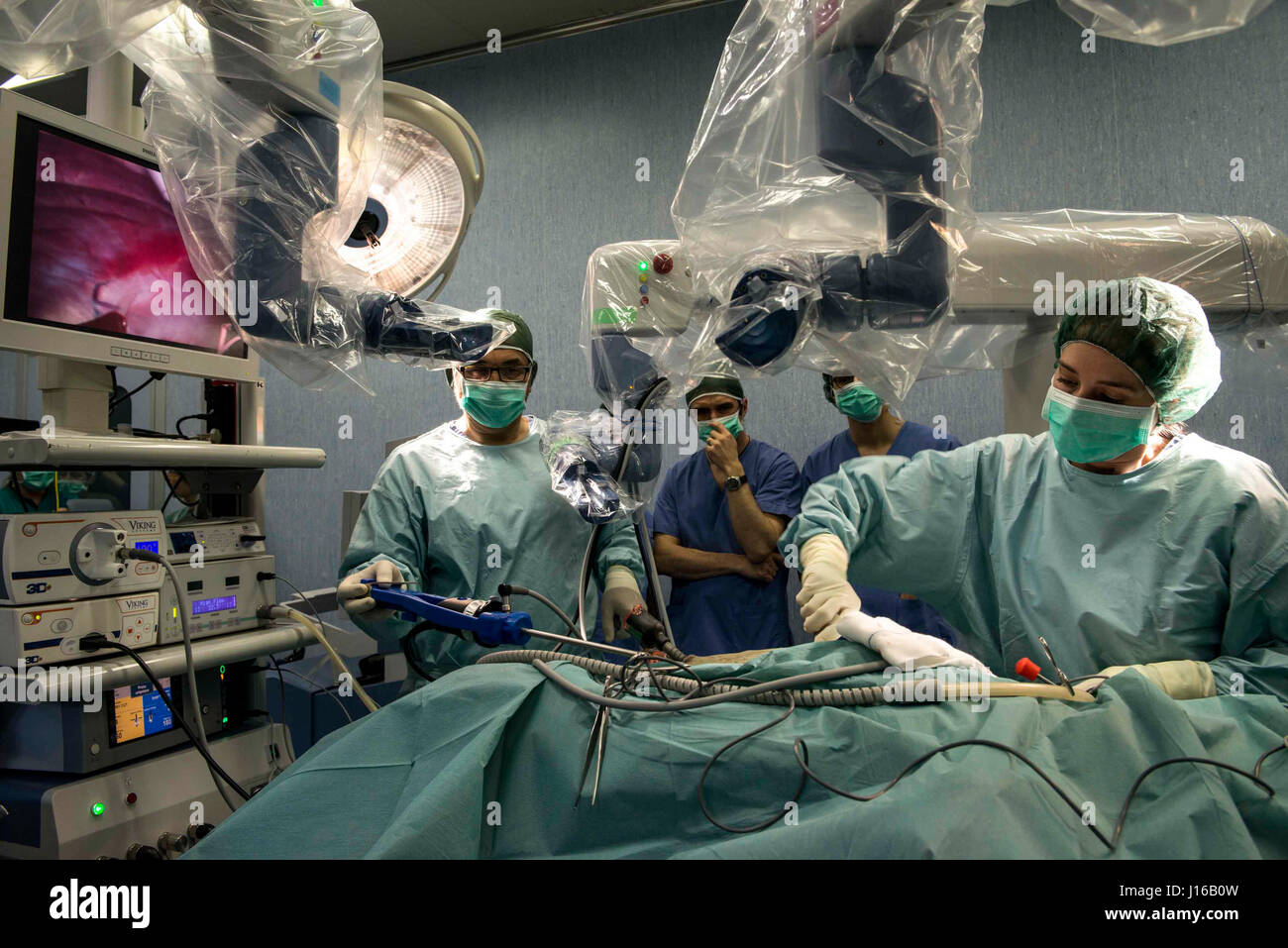 Un robot est devenu le premier à toute intervention chirurgicale sur un lion. Quand 8 ans Leonardo lion est allé sous le couteau pour enlever une tumeur surrénalienne, il était difficile d'imaginer qu'il pourrait autour comme normal en seulement trois heures. L'équipe médicale, dirigée par le chef de l'unité coopérative d'anesthésie à l'Hôpital Vétérinaire de Lodi, Giuliano Ravasio, utilisé une Telelap ALF-X robot effectuer la chirurgie d'avant-garde. Banque D'Images