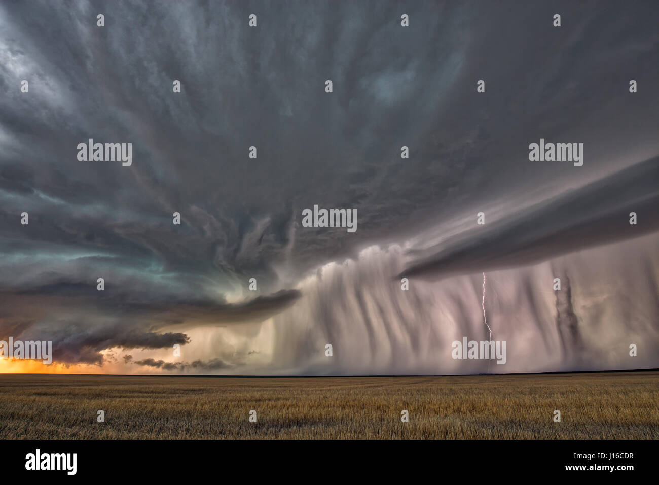 NABRASKA, USA : un enseignant a bravé la mort dans une soumission de document obsessionnelle la naissance et la mort de la nature dramatique de l'orages supercellulaires. Avec l'atmosphère de tension qui crépite, les images montrent comment cette tempête s'anime avec des explosions meurtrières de la foudre avant que ce brave stormchaser amateur a réussi à prendre la fuite et capture le calme ciel bleu et soleil sortant de derrière les nuages en colère à la fois. Les photos ont été prises dans les grandes plaines d'Amérique du Midwest par high-school professeur Mark Rosengarten (48) qui a consacré dix ans de sa vie à la chasse et à la documentation des Banque D'Images