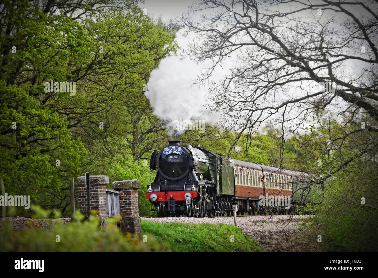 The Flying Scotsman locomotive à vapeur les Bluebell Railway, Horsted Keynes Sussex UK Banque D'Images