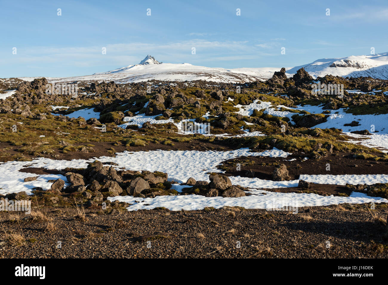 Des roches couvertes de mousse dans le champ de lave, Berserkjahraun (péninsule de Snæfellsnes Snæfellsnes), dans l'ouest de l'Islande Banque D'Images