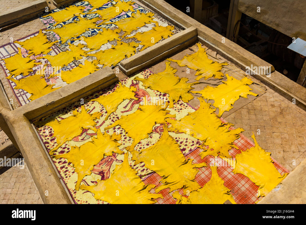 Séchage des peaux d'animaux. Tannerie de Fès. Fes, Maroc, Afrique du Nord Banque D'Images