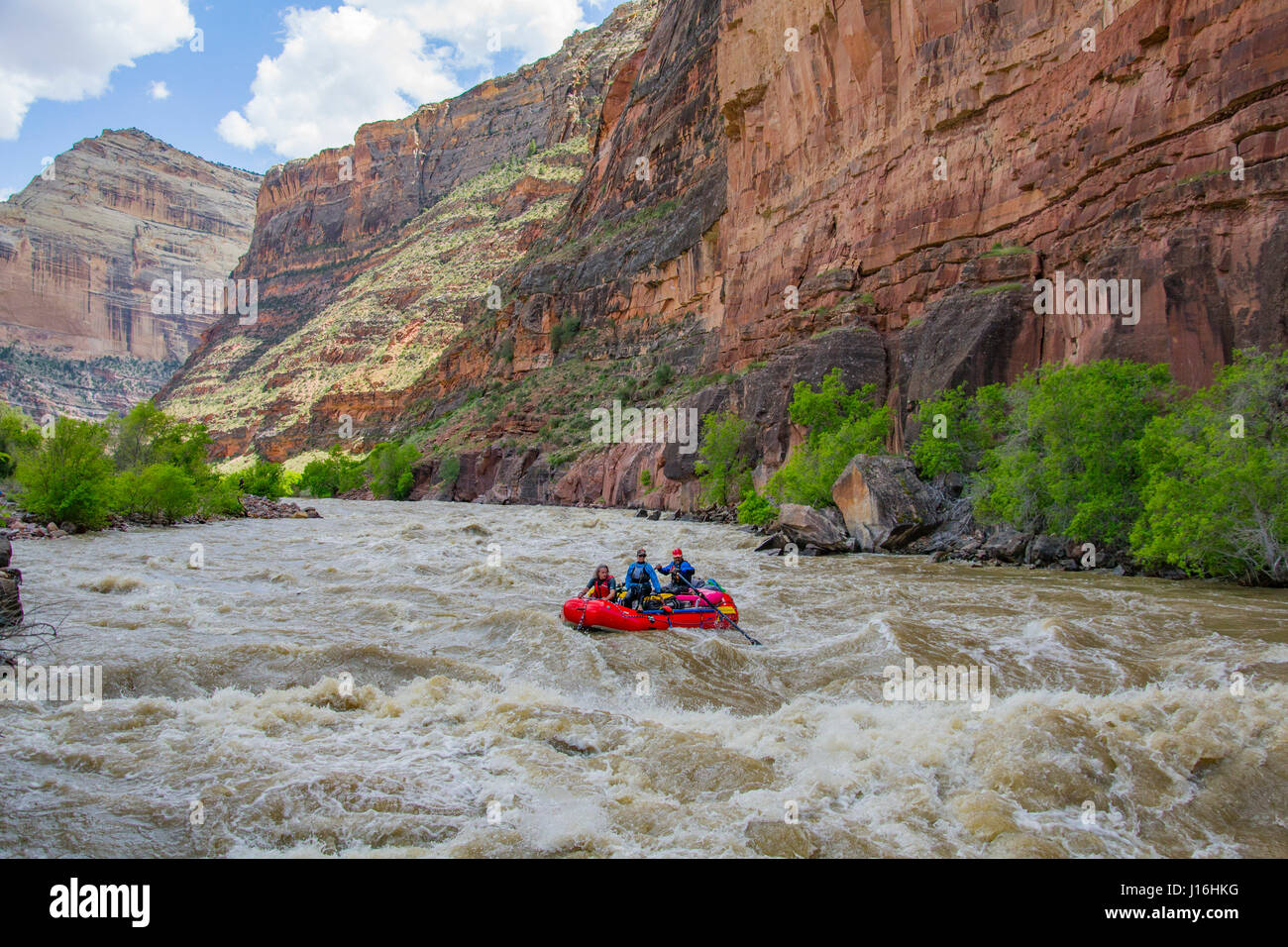 Le Rafting et les rivières à travers vert Yampa Dinosaur National Monument Banque D'Images