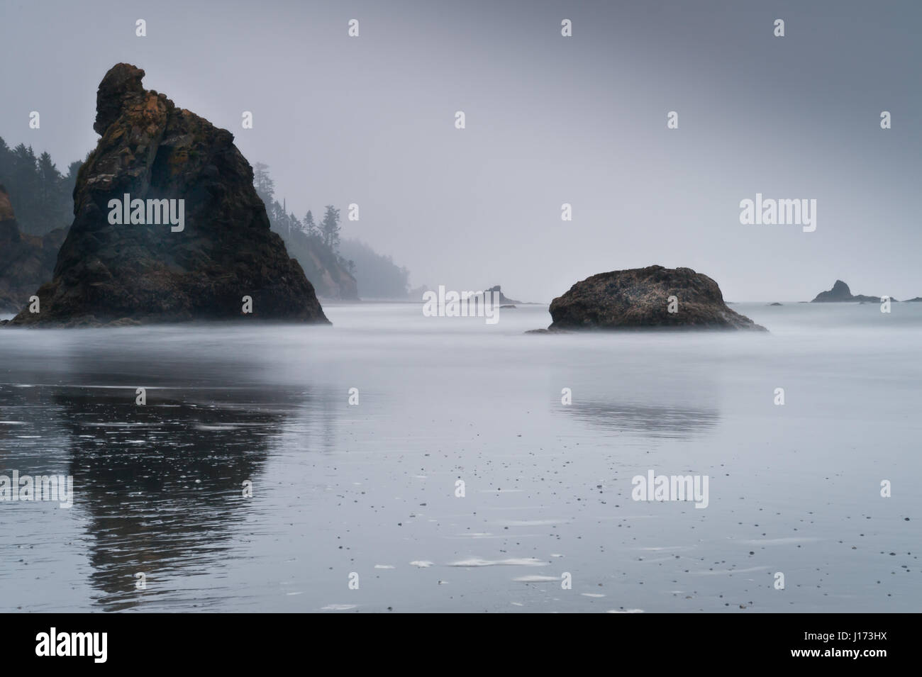 Îles de la brume en Ruby Beach, Olympic National Park, New York State, USA Banque D'Images