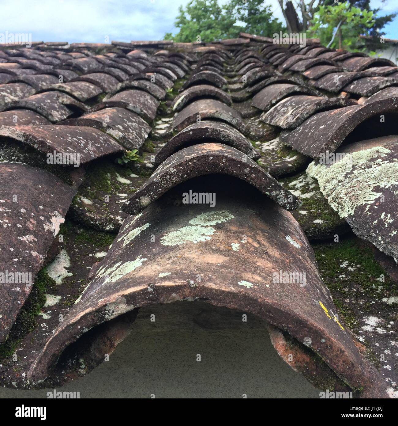 Vue rapprochée de l'ancien et tuiles rustiques, full frame Banque D'Images