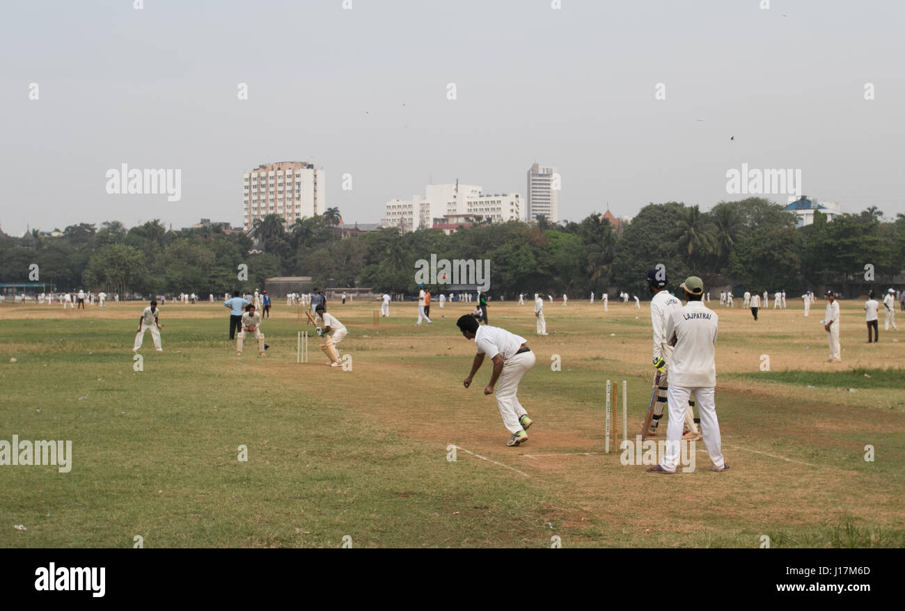 Les hommes jouer au cricket sur Oval Maidan, à Mumbai, Inde. . Banque D'Images