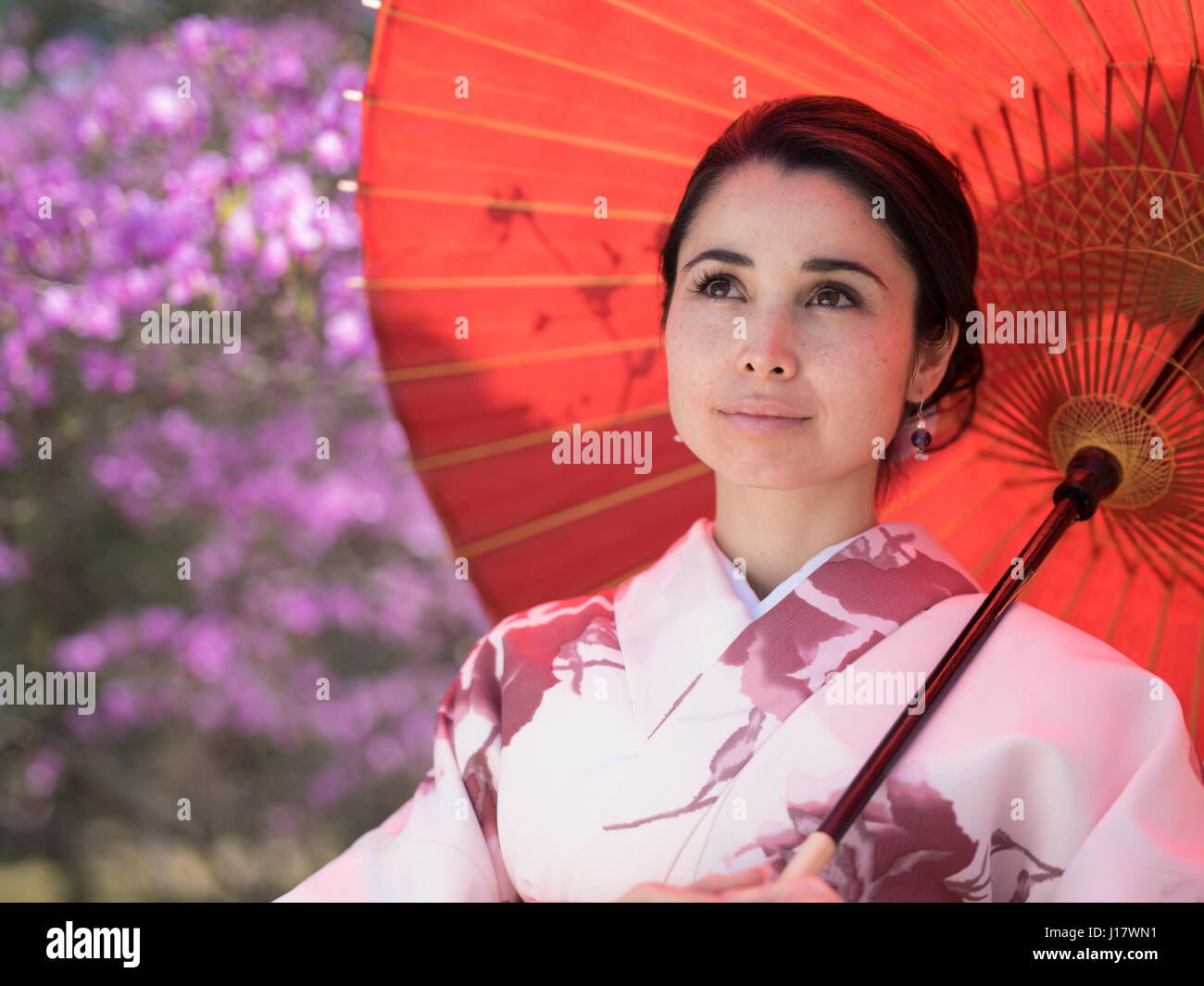 Jeune japonaise en kimono à l'avant d'azalées. Kyoto, Japon Banque D'Images