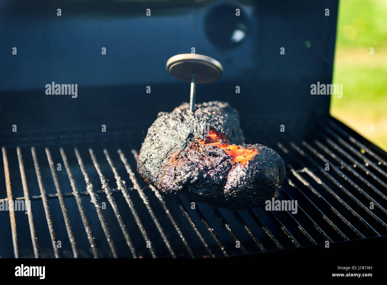 Un barbecue familial - barbecue pique-nique. Contrôle de la température correcte avec thermomètre à viande. Banque D'Images